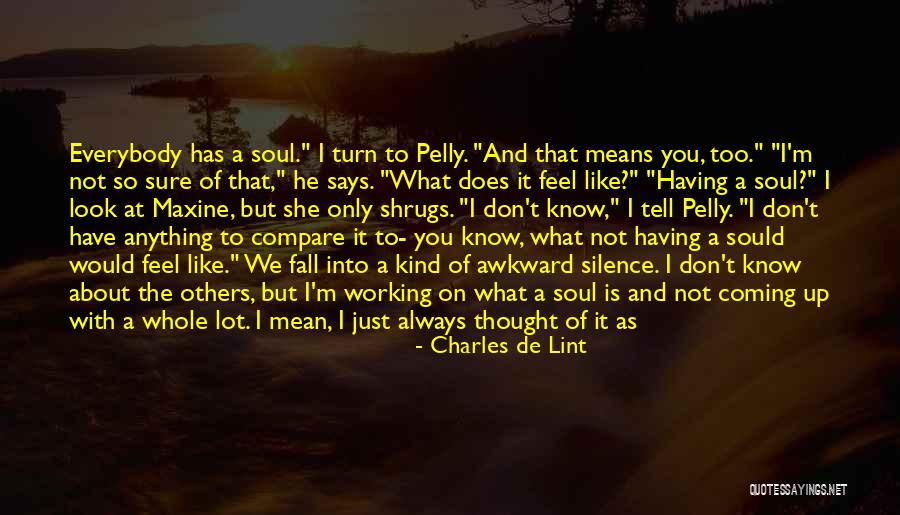 It's Not What You Look Like Quotes By Charles De Lint It's Not What You Look Like Quotes By Charles De Lint