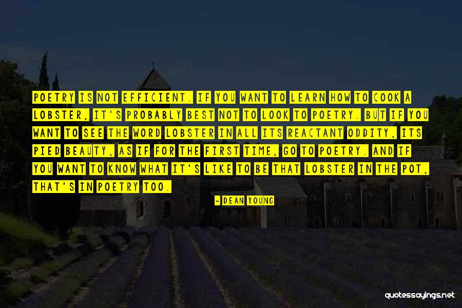 It's Not What You Look Like Quotes By Dean Young It's Not What You Look Like Quotes By Dean Young
