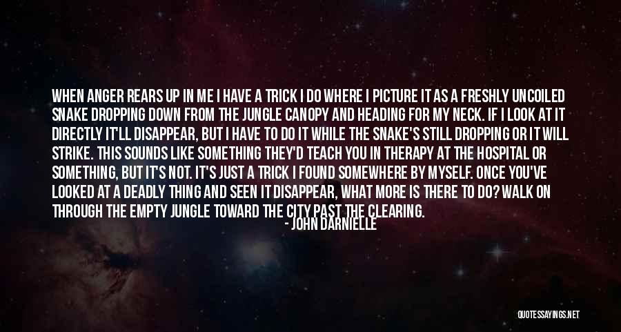 It's Not What You Look Like Quotes By John Darnielle It's Not What You Look Like Quotes By John Darnielle