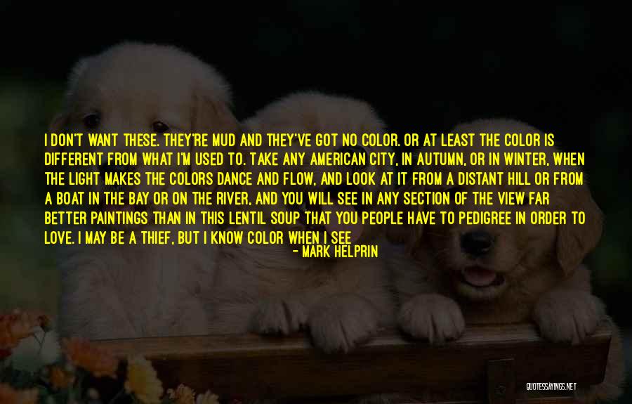 It's Not What You Look Like Quotes By Mark Helprin It's Not What You Look Like Quotes By Mark Helprin