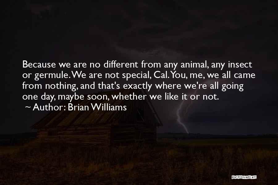 It's Not Where You Came From Quotes By Brian Williams