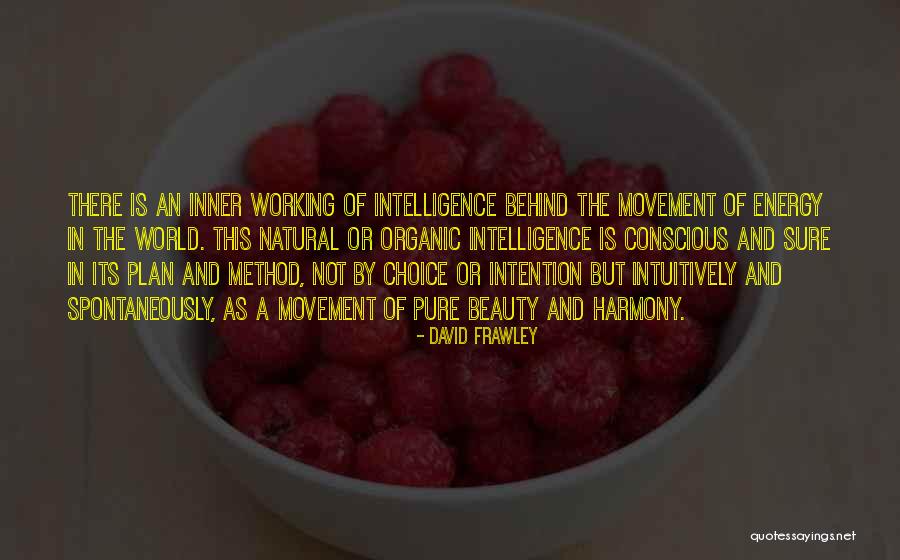 Its Not Working Quotes By David Frawley Its Not Working Quotes By David Frawley