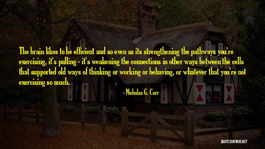 Its Not Working Quotes By Nicholas G. Carr Its Not Working Quotes By Nicholas G. Carr