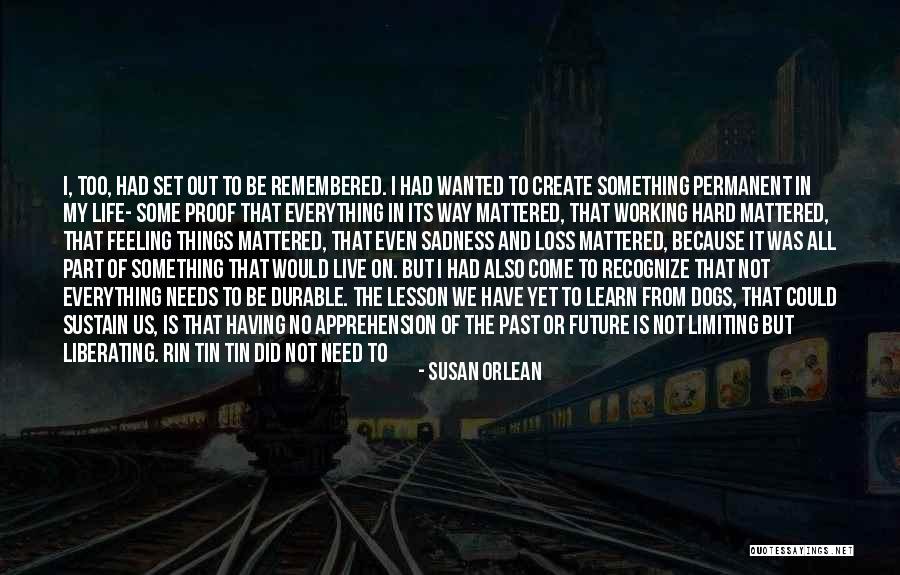 Its Not Working Quotes By Susan Orlean