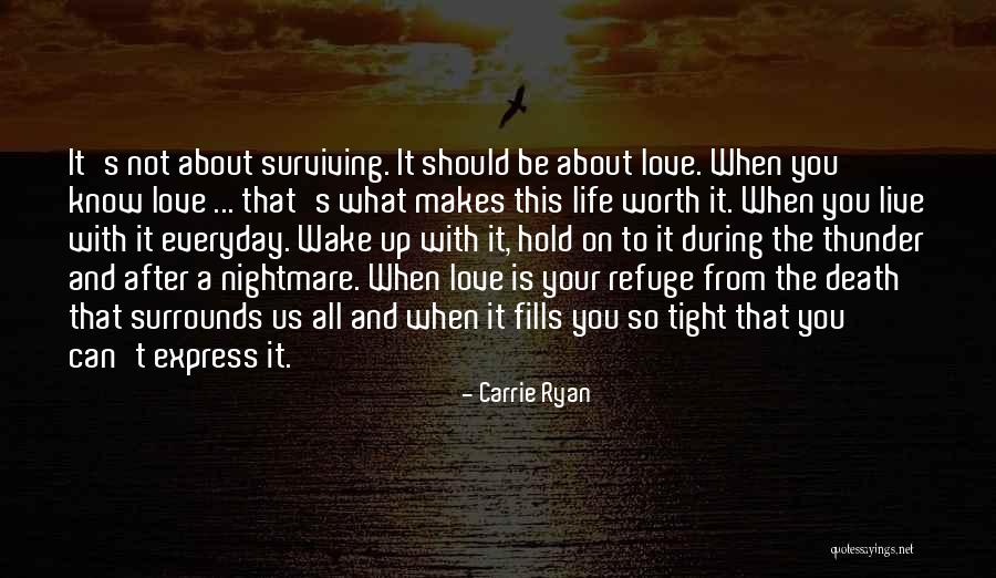 It's Not Worth It Love Quotes By Carrie Ryan