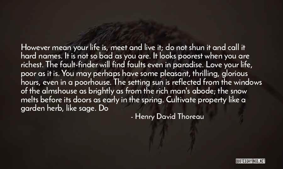 It's Not Your Fault Quotes By Henry David Thoreau It's Not Your Fault Quotes By Henry David Thoreau