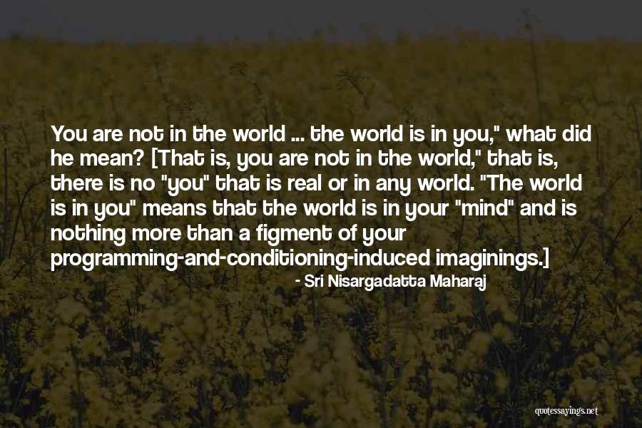 Its November Short Quotes By Sri Nisargadatta Maharaj Its November Short Quotes By Sri Nisargadatta Maharaj