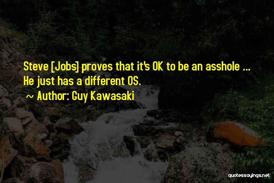 It's Ok To Be Different Quotes By Guy Kawasaki