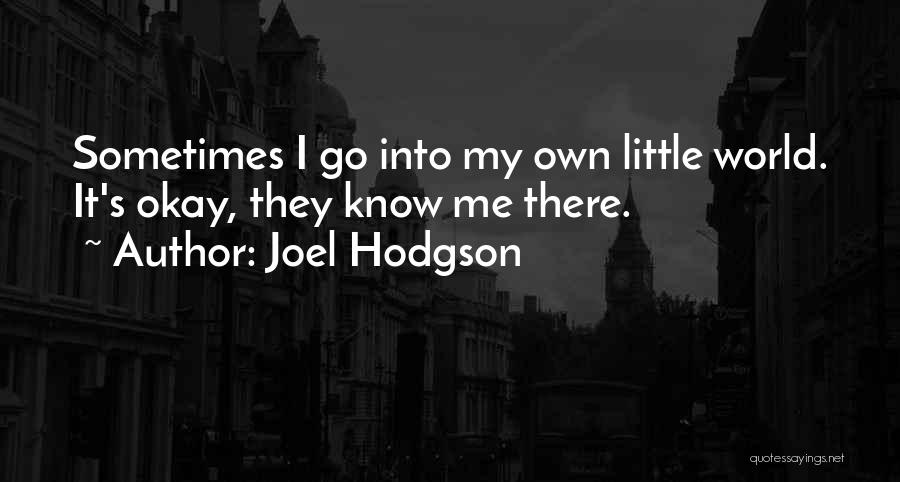 It's Okay Quotes By Joel Hodgson