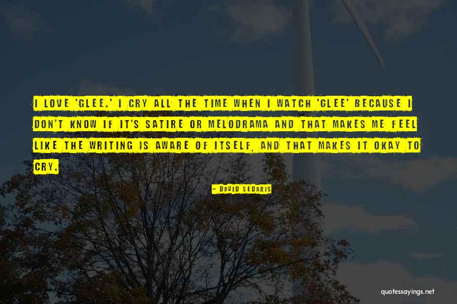 It's Okay To Cry Quotes By David Sedaris It's Okay To Cry Quotes By David Sedaris