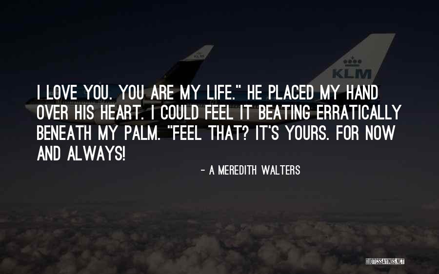 It's Over My Love Quotes By A Meredith Walters It's Over My Love Quotes By A Meredith Walters