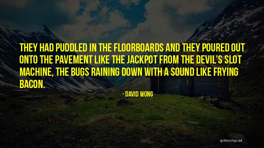 Its Raining Like Quotes By David Wong Its Raining Like Quotes By David Wong