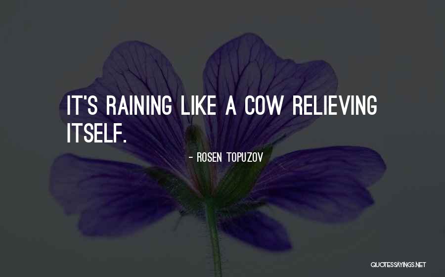 Its Raining Like Quotes By Rosen Topuzov Its Raining Like Quotes By Rosen Topuzov