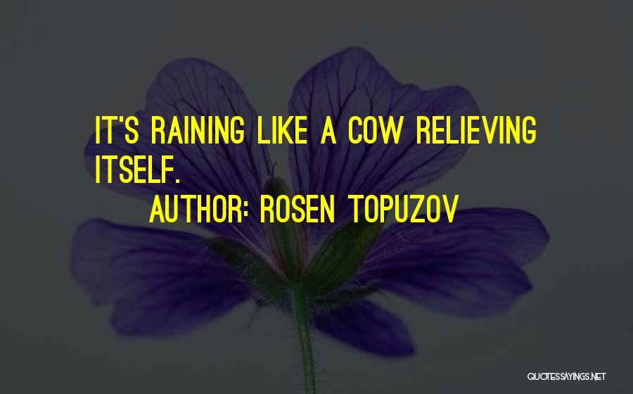 It's Raining Quotes By Rosen Topuzov