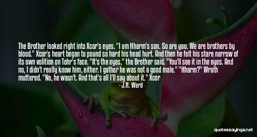 Its Really Good Quotes By J.R. Ward Its Really Good Quotes By J.R. Ward