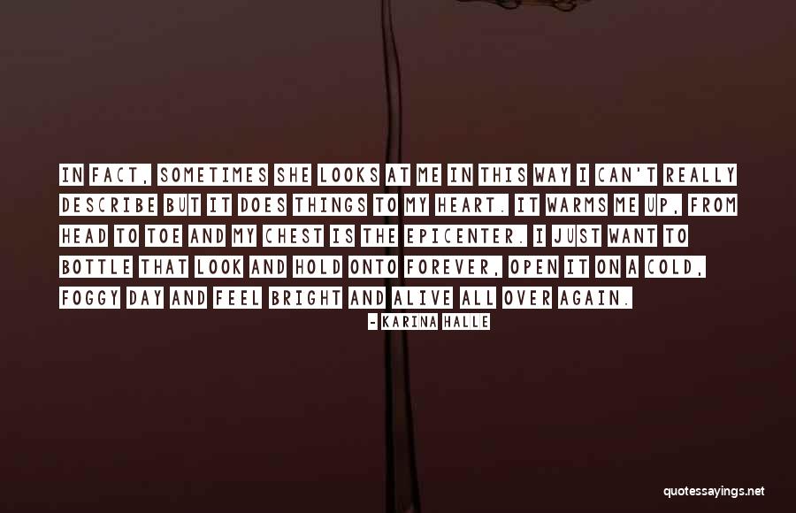 It's So Foggy Quotes By Karina Halle
