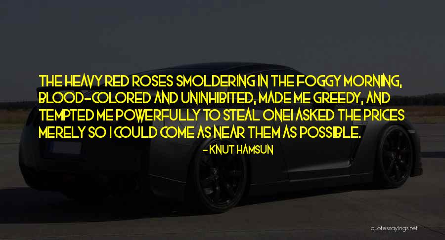 It's So Foggy Quotes By Knut Hamsun
