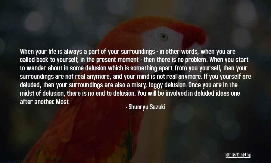 It's So Foggy Quotes By Shunryu Suzuki