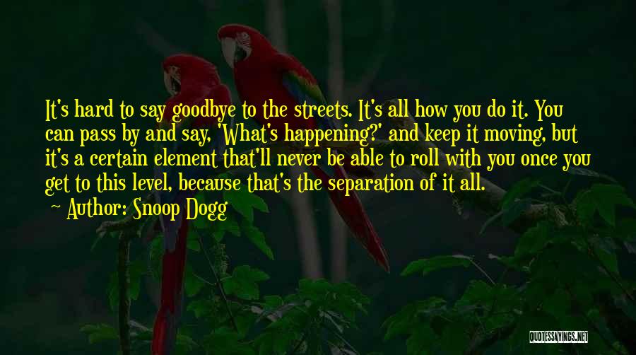 It's So Hard Say Goodbye Quotes By Snoop Dogg