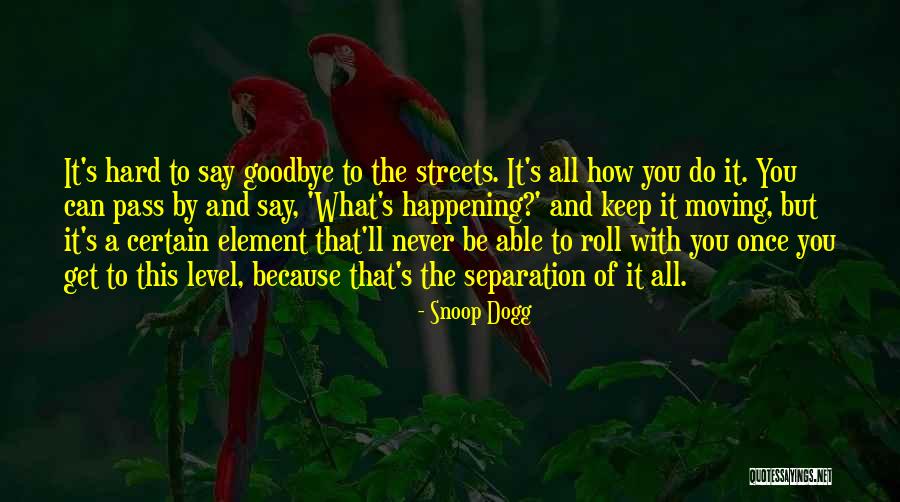 It's So Hard Say Goodbye Quotes By Snoop Dogg