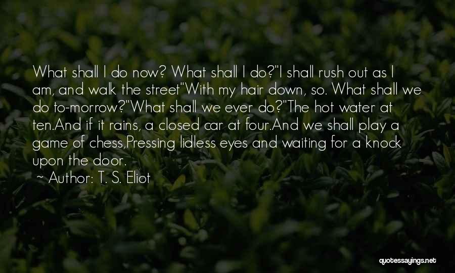 It's So Hot Out Quotes By T. S. Eliot