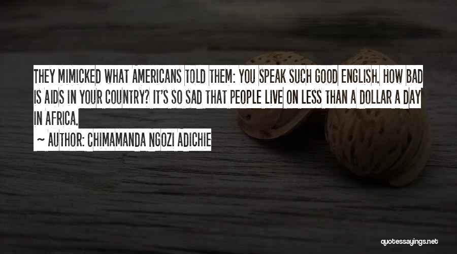 It's So Sad Quotes By Chimamanda Ngozi Adichie