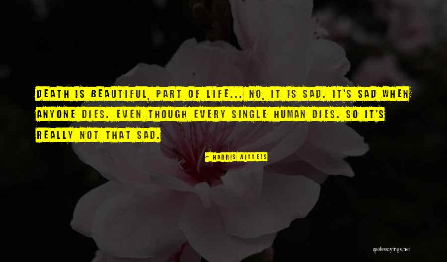 It's So Sad Quotes By Harris Wittels It's So Sad Quotes By Harris Wittels