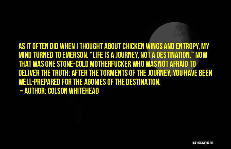 It's The Journey Not The Destination Quotes By Colson Whitehead
