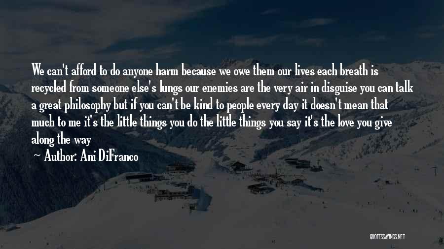 It's The Little Things Quotes By Ani DiFranco