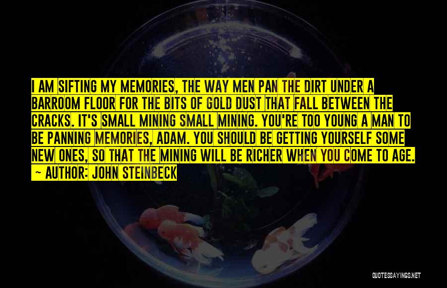 It's The Memories Quotes By John Steinbeck