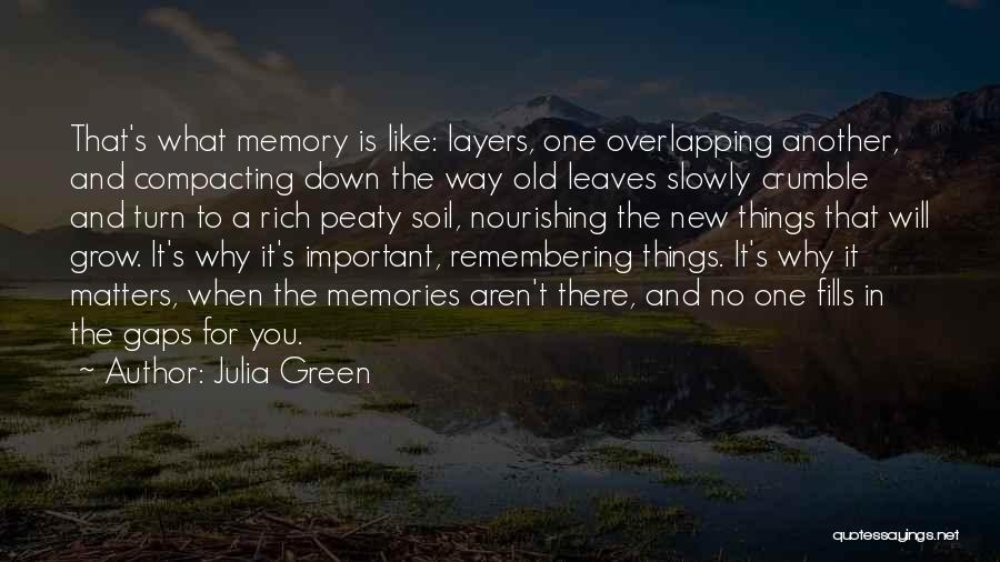 It's The Memories Quotes By Julia Green