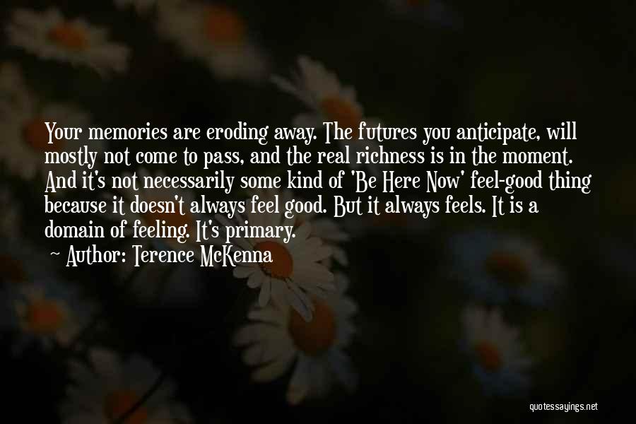 It's The Memories Quotes By Terence McKenna