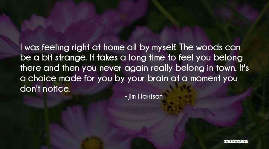 It's The Right Time Quotes By Jim Harrison