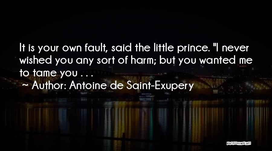 It's Your Own Fault Quotes By Antoine De Saint-Exupery