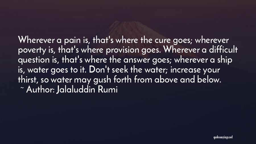 It's Your Ship Quotes By Jalaluddin Rumi