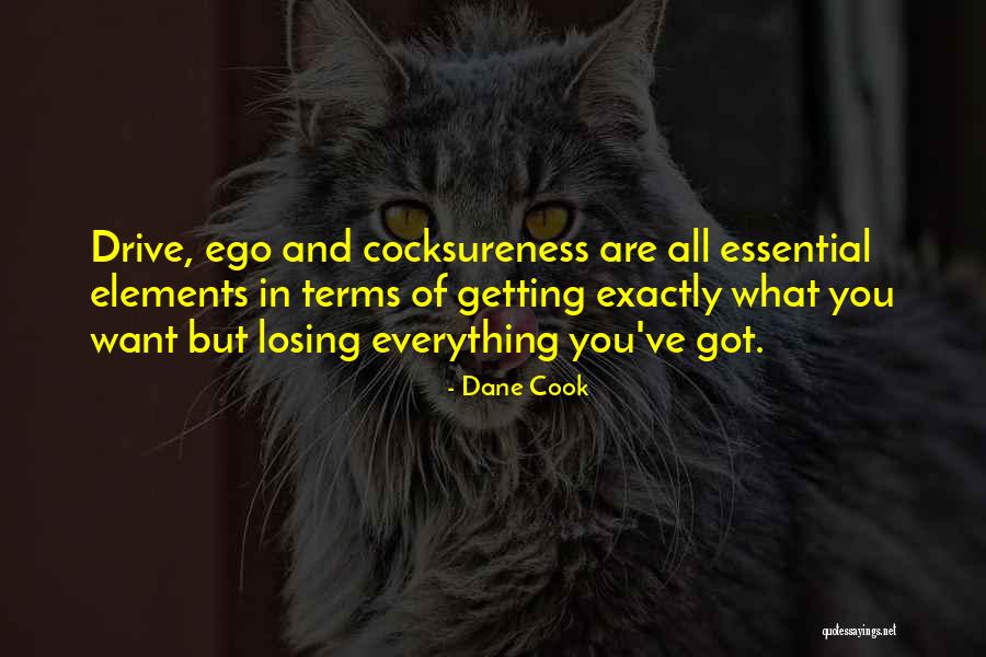 Iturraldes Quotes By Dane Cook Iturraldes Quotes By Dane Cook