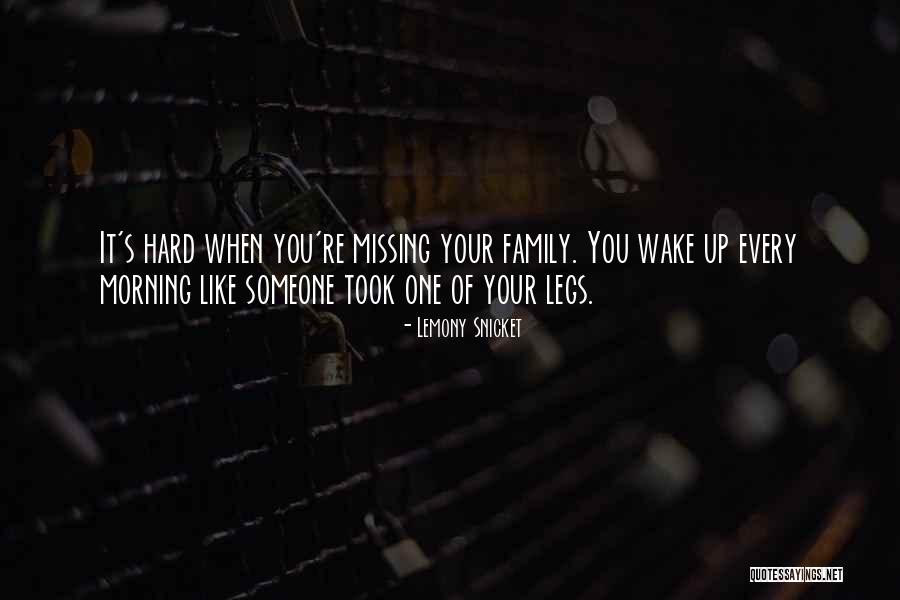 Iturraldes Quotes By Lemony Snicket Iturraldes Quotes By Lemony Snicket