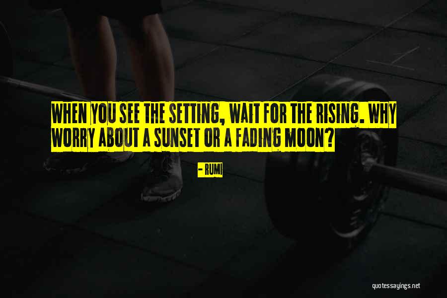 Itzultzailea Quotes By Rumi Itzultzailea Quotes By Rumi