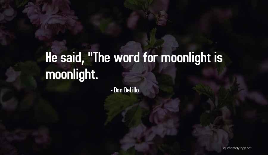 Ivanovic Footballer Quotes By Don DeLillo Ivanovic Footballer Quotes By Don DeLillo