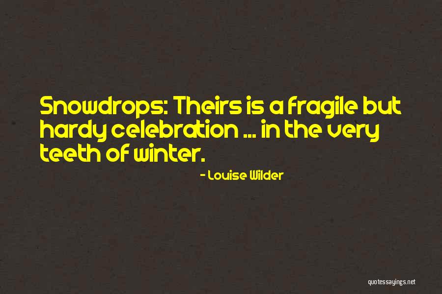 Ivans Account Quotes By Louise Wilder Ivans Account Quotes By Louise Wilder