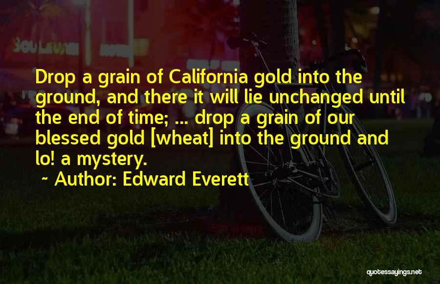 Ivar Haglund Quotes By Edward Everett