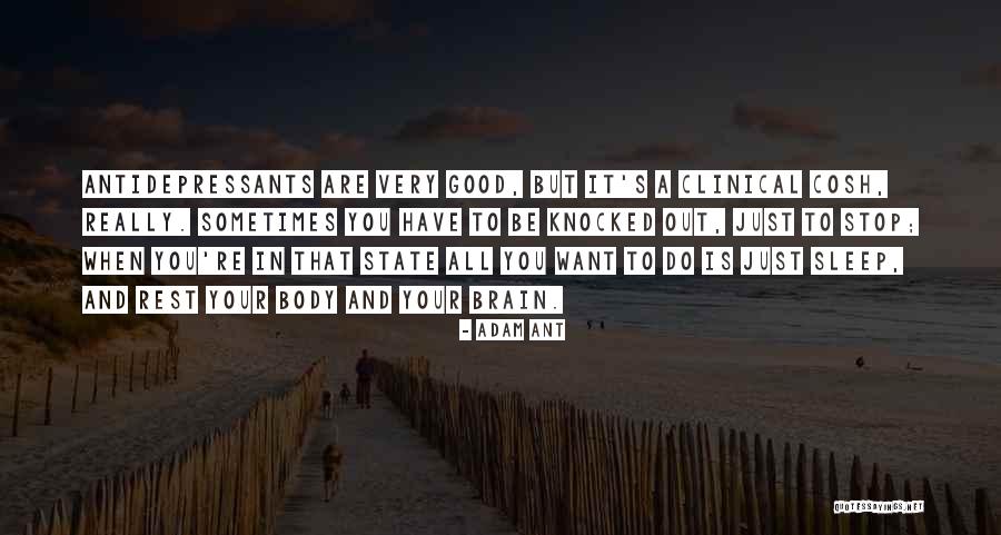 Ivaylo Zaharijev Quotes By Adam Ant Ivaylo Zaharijev Quotes By Adam Ant