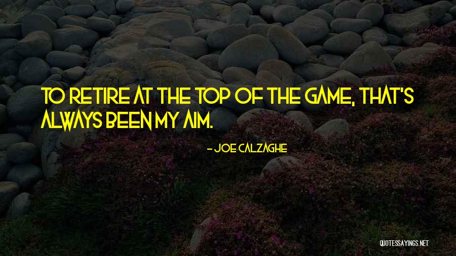 I've Always Been A Fighter Quotes By Joe Calzaghe I've Always Been A Fighter Quotes By Joe Calzaghe