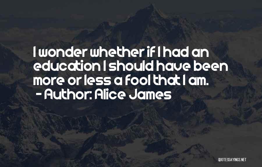 I've Been A Fool Quotes By Alice James