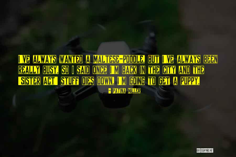 I've Been Busy Quotes By Patina Miller I've Been Busy Quotes By Patina Miller