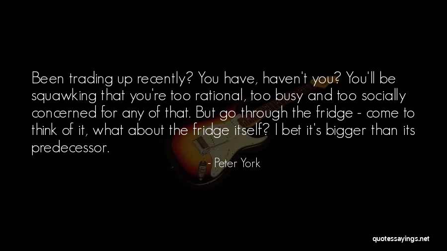 I've Been Busy Quotes By Peter York