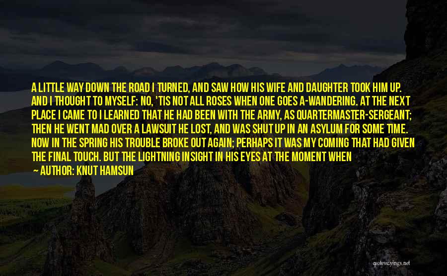 I've Been Down For Him Quotes By Knut Hamsun