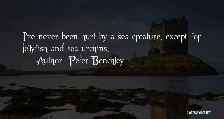 I've Been Hurt Quotes By Peter Benchley