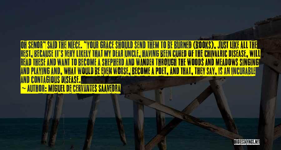 I've Been Through Worse Quotes By Miguel De Cervantes Saavedra