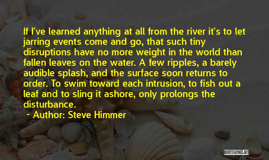I've Fallen Quotes By Steve Himmer